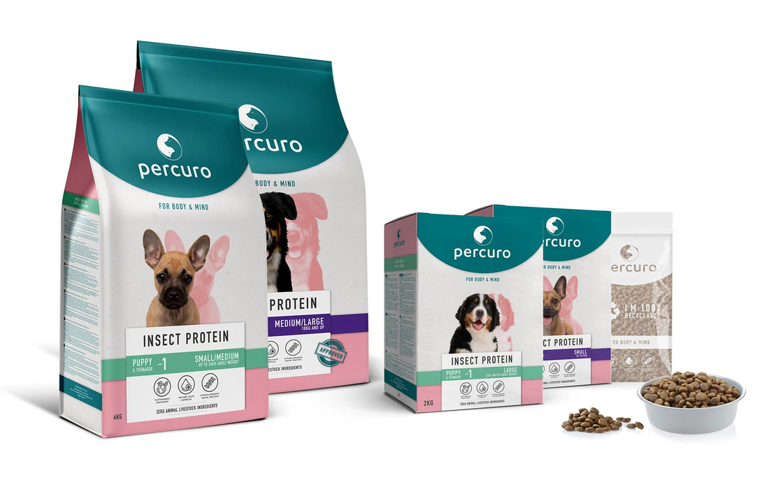 Insect Based Dog Food, What Do The Experts Think?