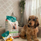 Puppy Small/Medium Breed Dry Dog Food 6KG